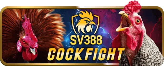 Hoàn Trả Hàng Ngày Đá Gà Sking88