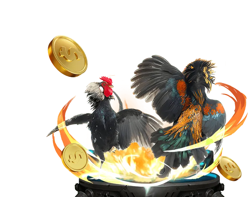 Hướng Dẫn Đặt Cược Đá Gà Sking88